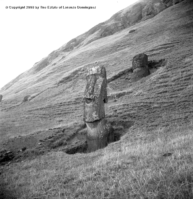 RRE_Angel_18.jpg - Easter Island. 1960. Two moai on the exterior slope of Rano Raraku. On the foreground, the moai identified by Lorenzo Dominguez as "The Angel."